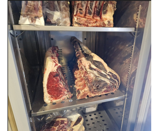 Шкаф для созревания мяса Desmon MA400 (Dry Aging)